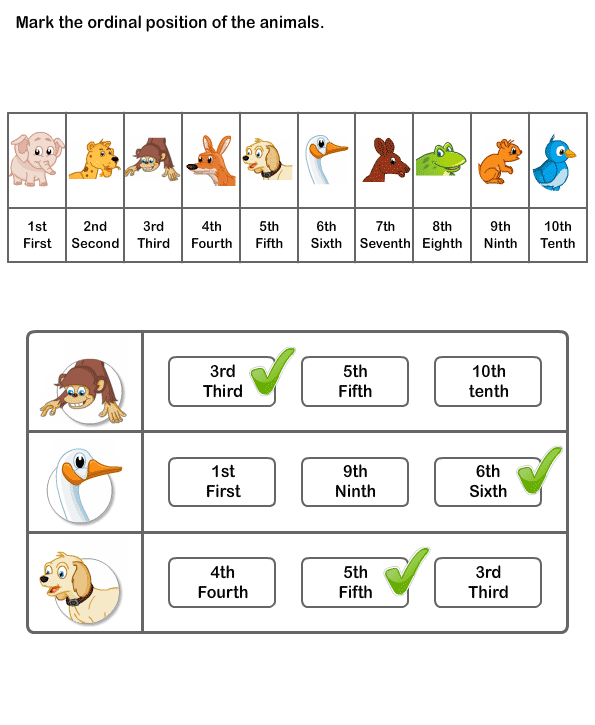 ordinal-numbers-neighbors-2-pages-3rd-grade-math-worksheets-number-worksheets-vocabulary