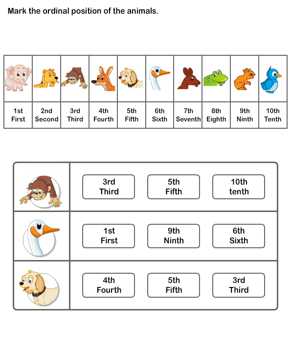 Ordinal Numbers Worksheet For Class 2
